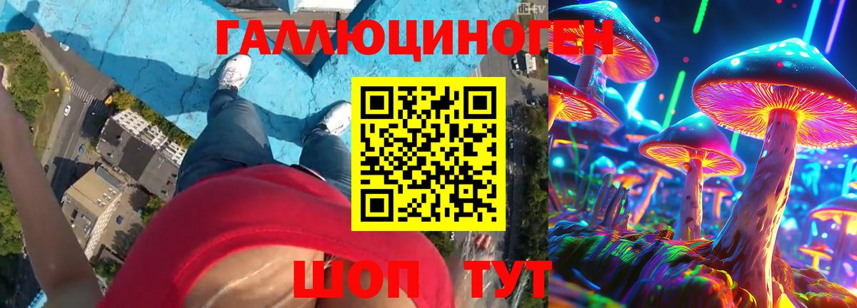 Химки  Галлюциногенные грибы GOLDEN TEACHER  Вход с VPN 