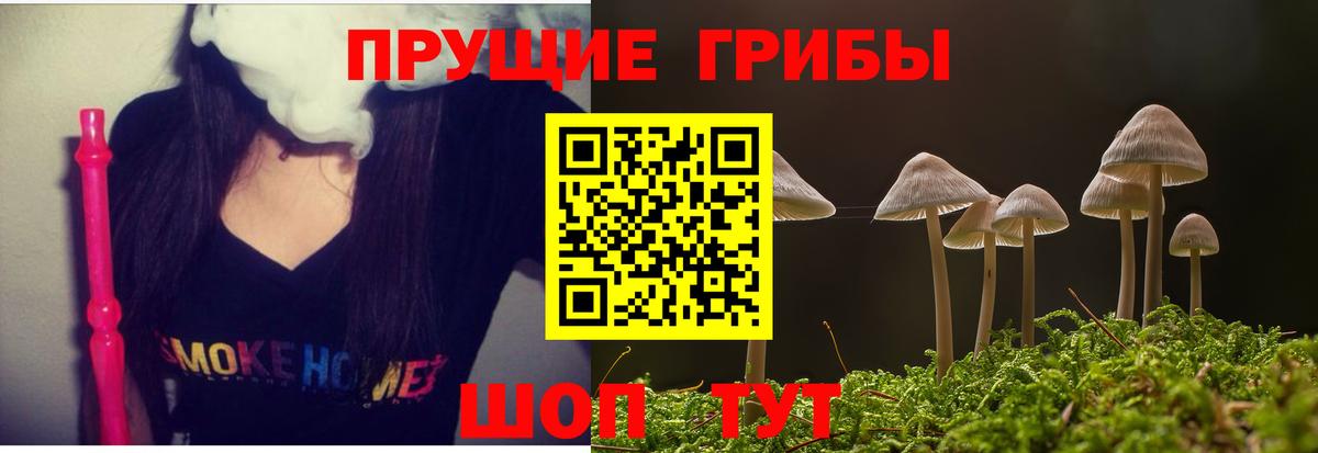 Псилоцибиновые грибы Cubensis  Химки  Псилоцибиновые грибы мухоморы 